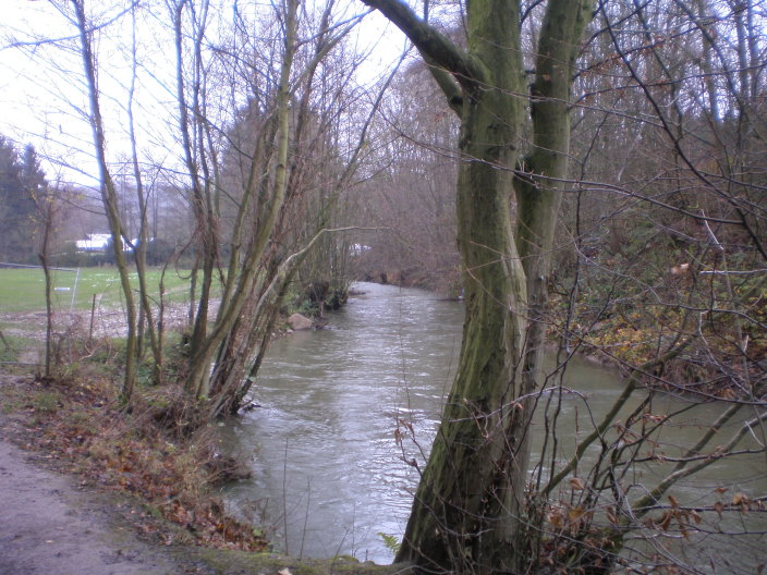 thuin 015.jpg